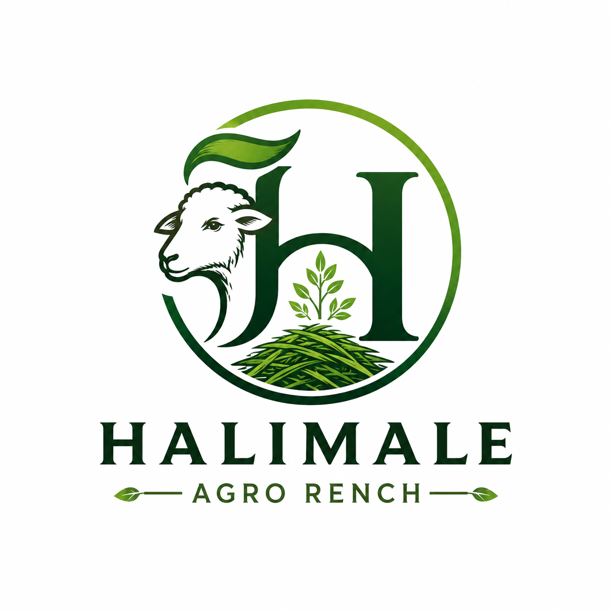HALIMALE logo